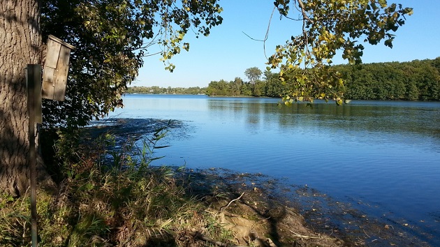 protecting green spaces in metropolitan michigan critical path