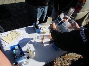 examining water samples