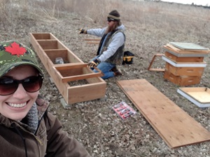 beekeepers building a hive