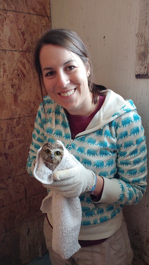 wildlife rescue volunteer with an owl