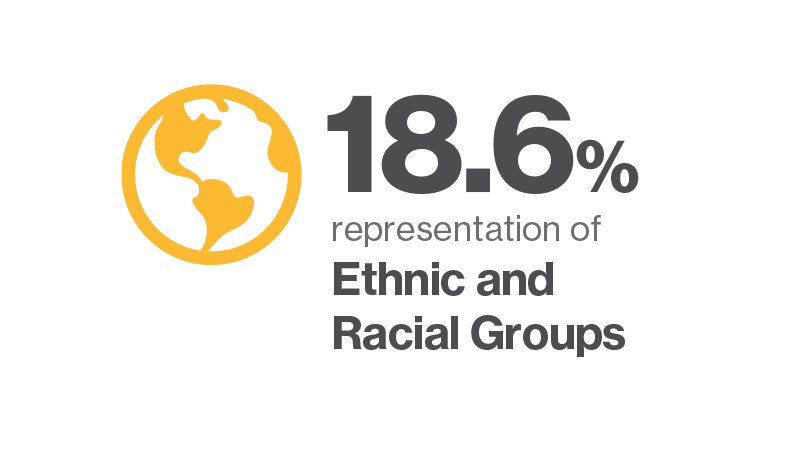 18.6% representation of ethnic and racial groups