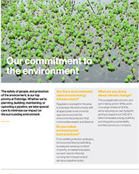 Our Commitment To The Environment