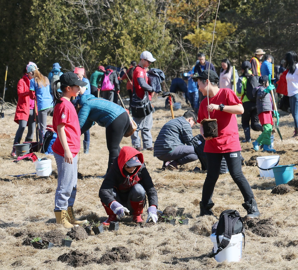 People planting trees