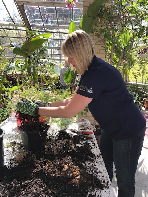 Woman working in greenhouse