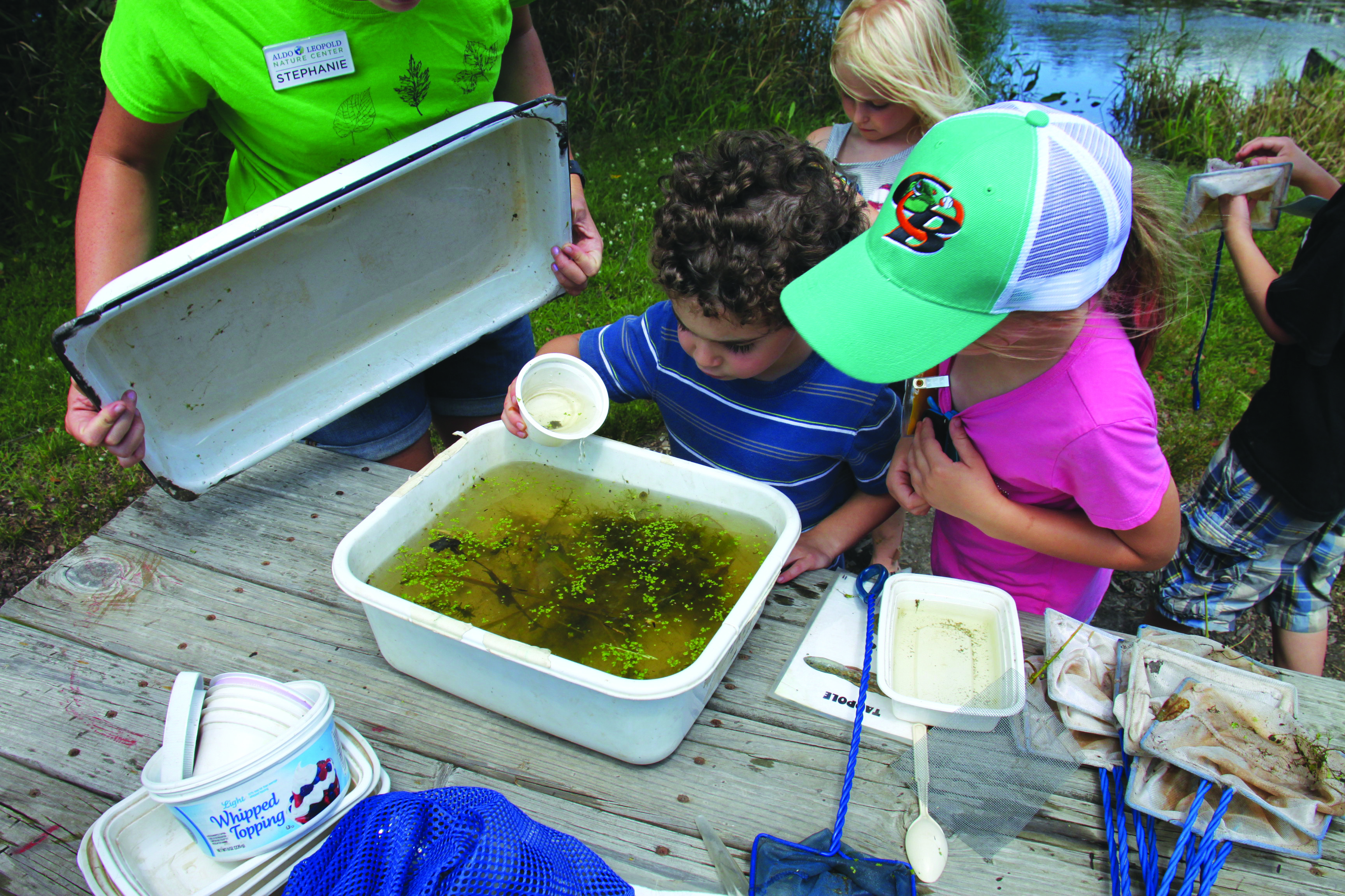 Examining lake water for bugs