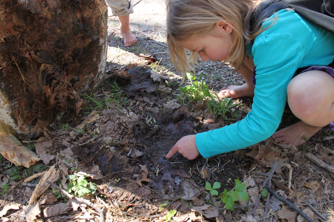 Children examine dirt for bugs