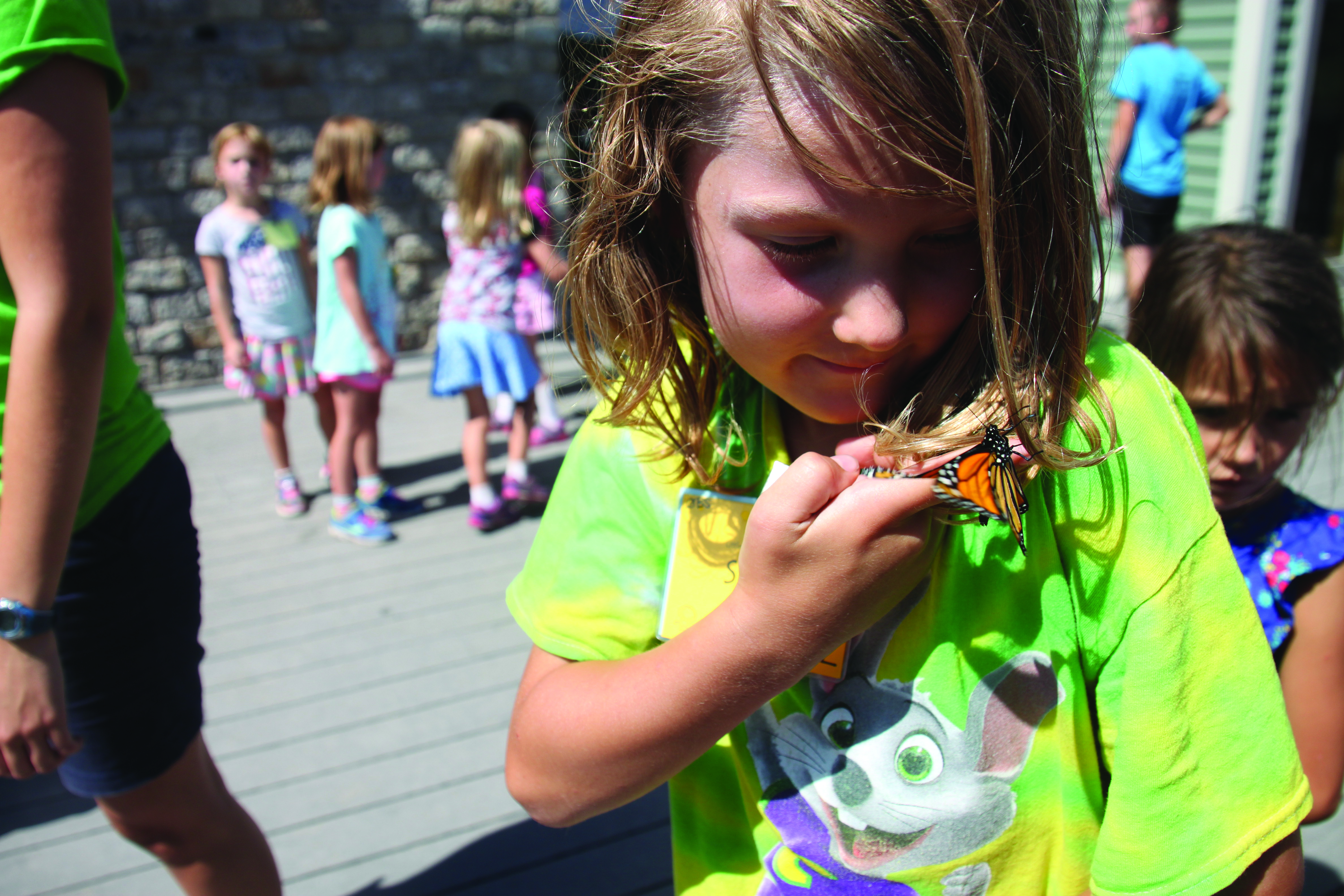 Releasing butterflies