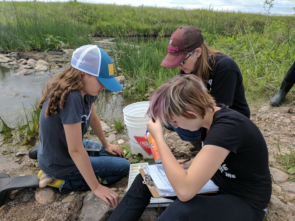 High school students examine insects from a pond