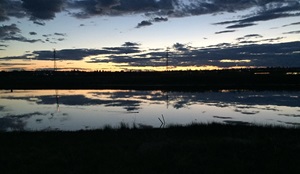 Marsh at sunset