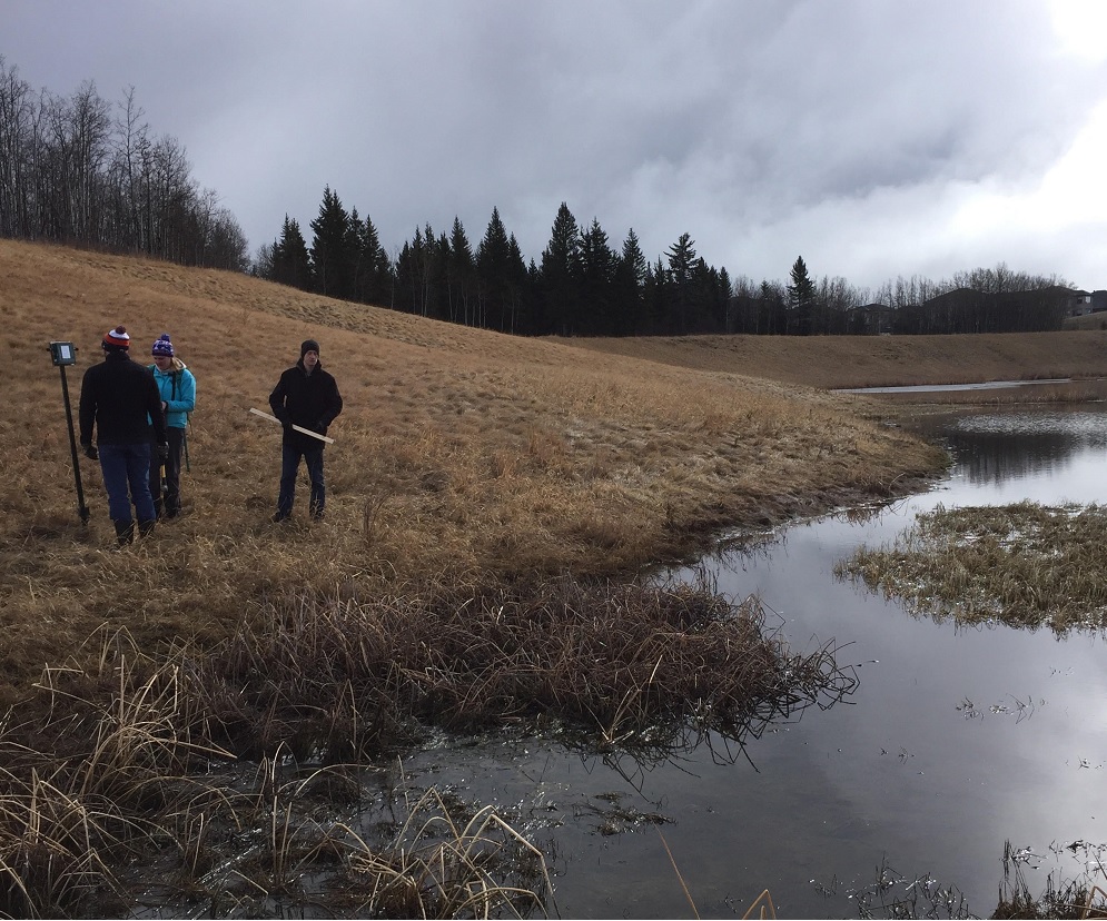 People at a city wetland