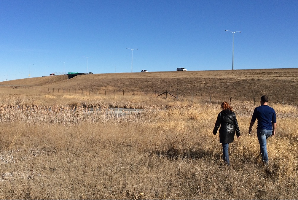 People walk in a field