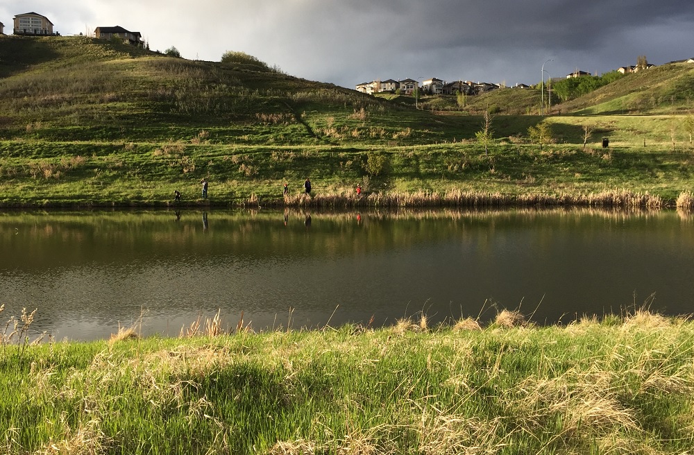 Urban wetland surrounded by hills