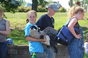 Girl holding goose