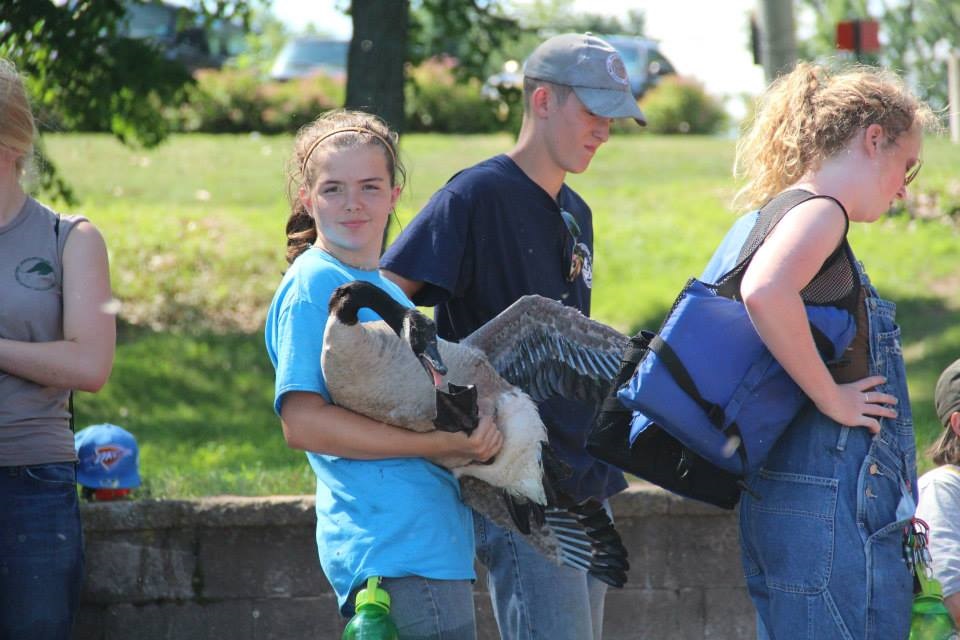 Girl holding goose