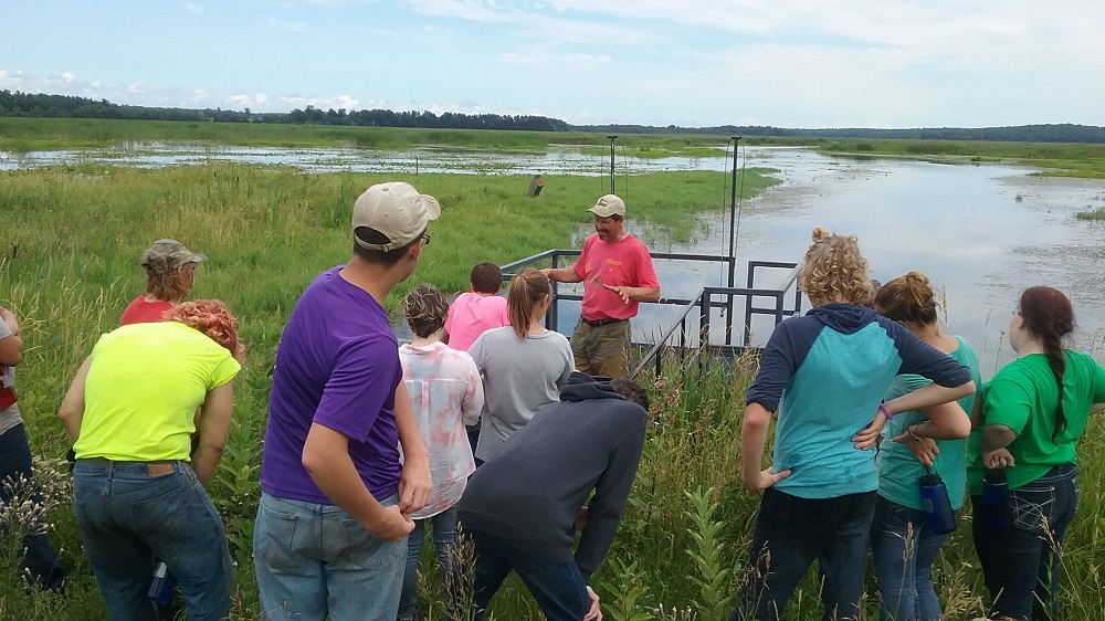 Campers on an observation deck in a marsh