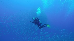 Diver underwater