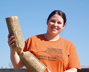 Woman holding log chewed by beaver