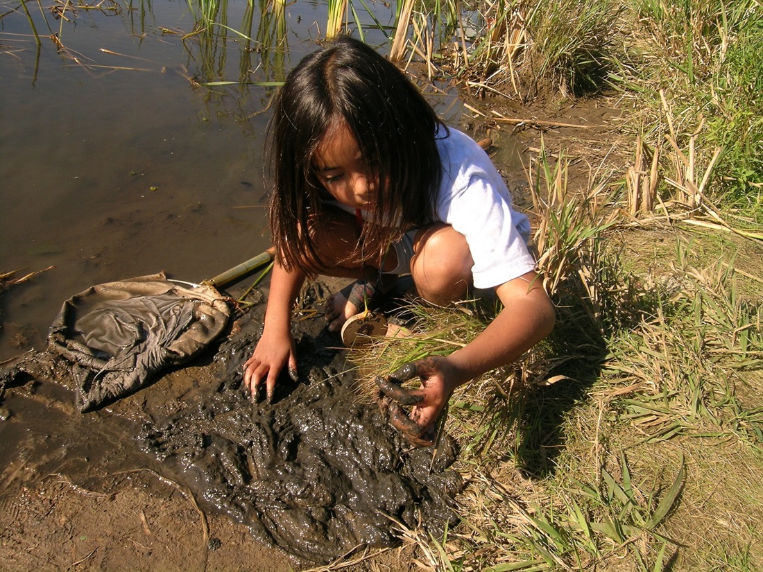 Girl examining mud for insects