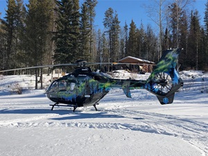 Helicopter in forest
