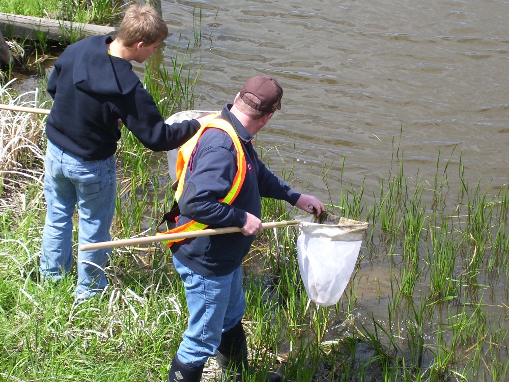 students with nets at water's edge