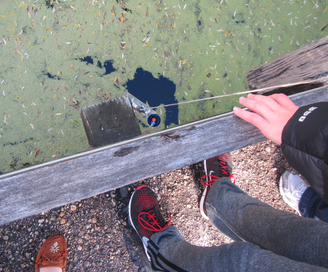 students viewing marsh water