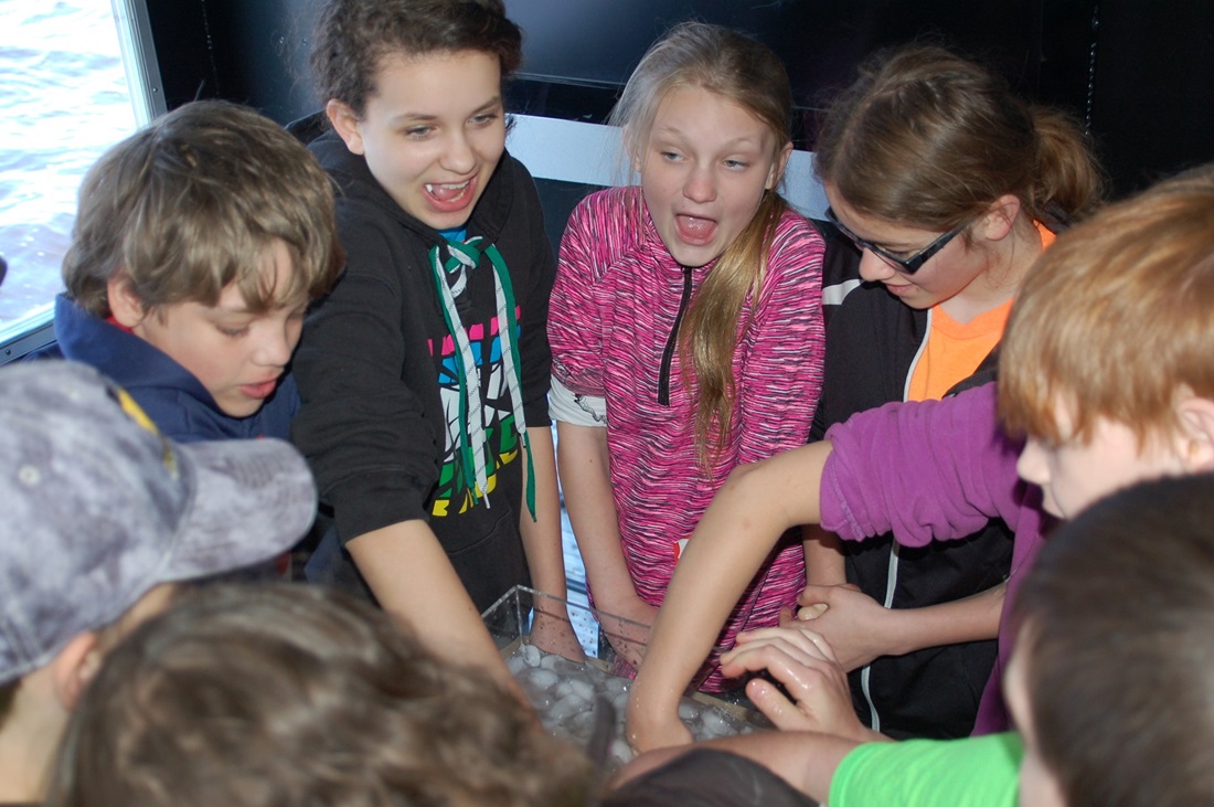 Students dunking their hands into a container of icy water