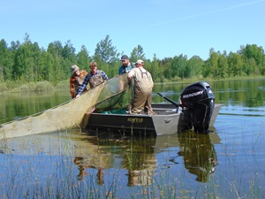 Men on boat releasing fish into a lake