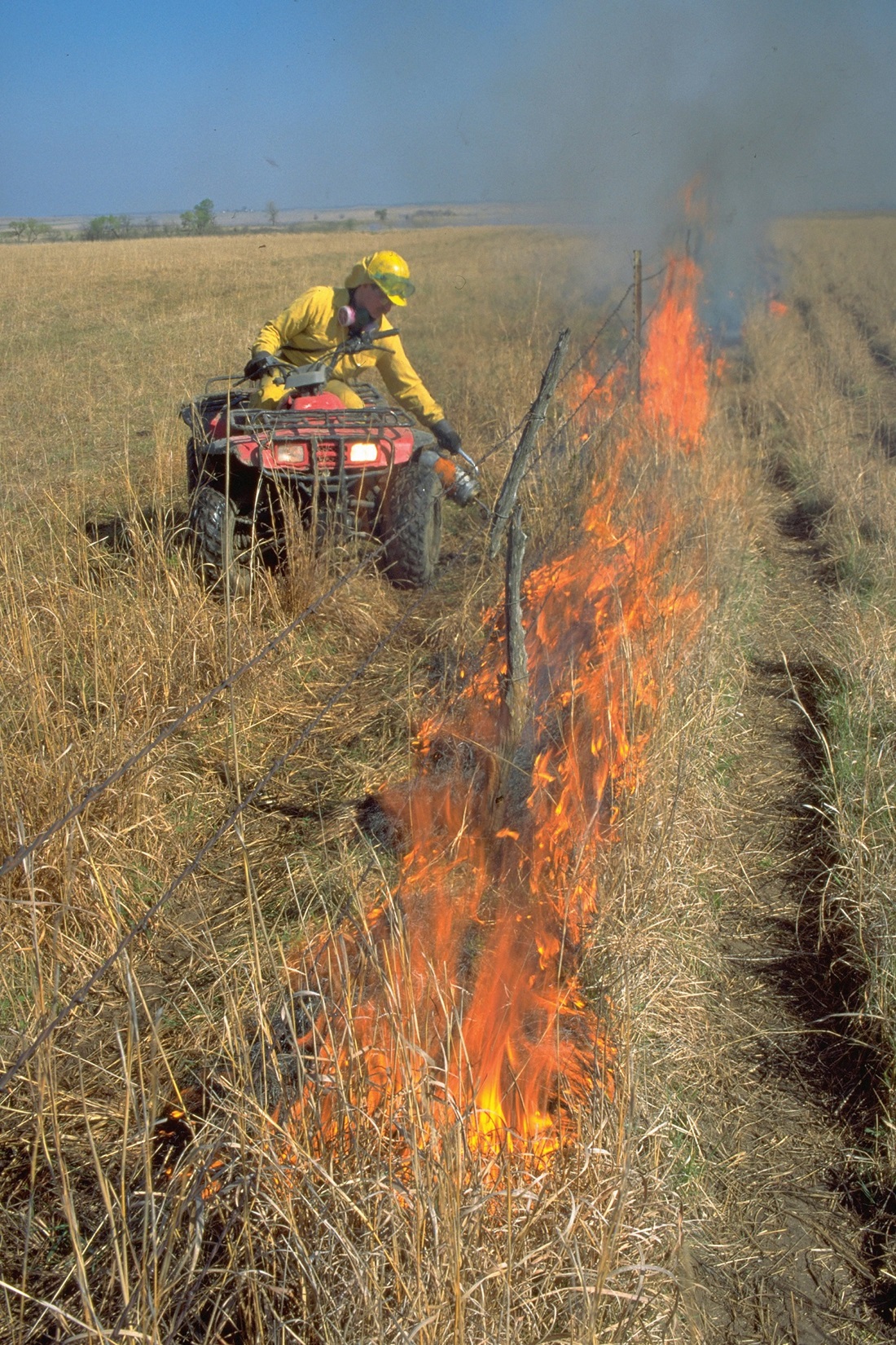 prescribed burn in prairie field