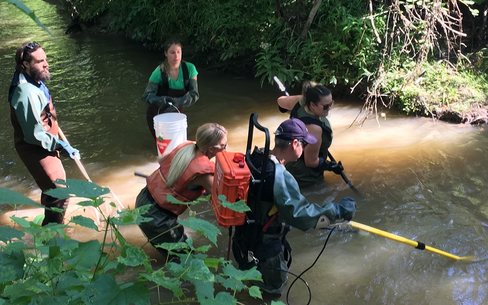 Fishing enthusiasts in a river