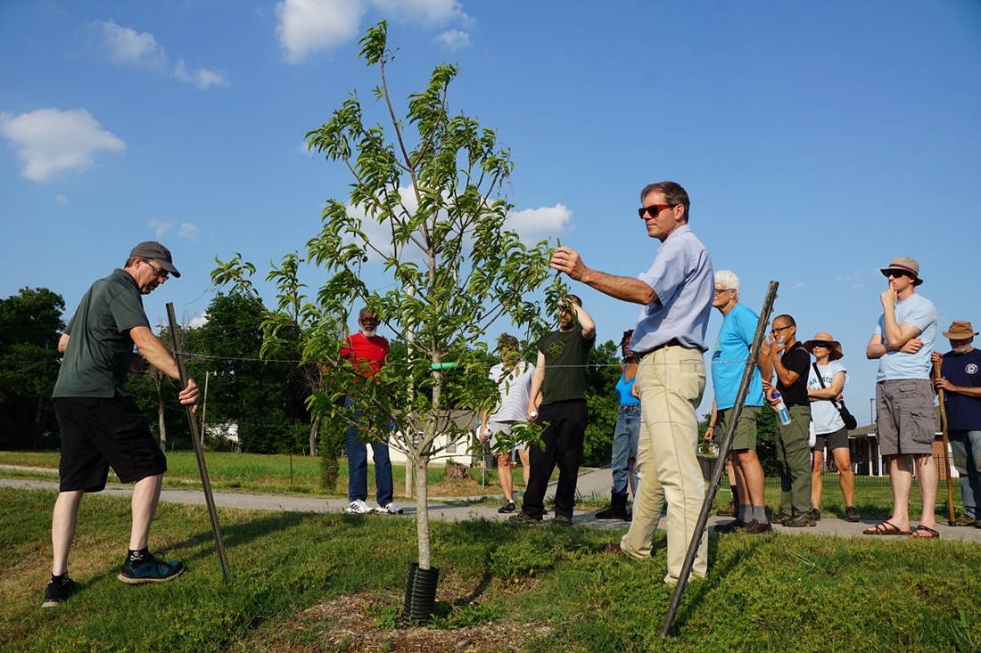 Volunteers planting trees