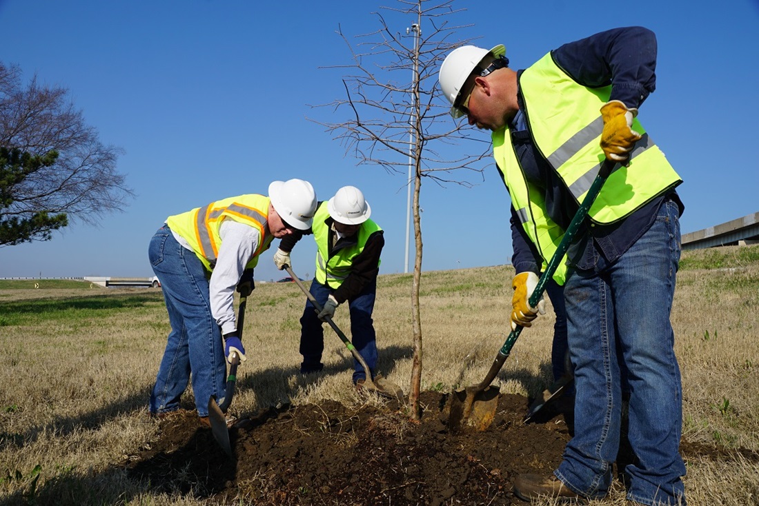 Volunteers planting trees