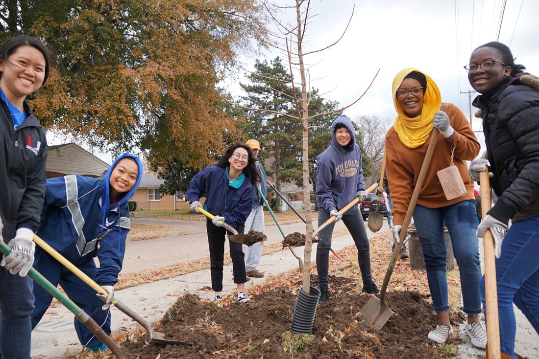 Volunteers planting trees