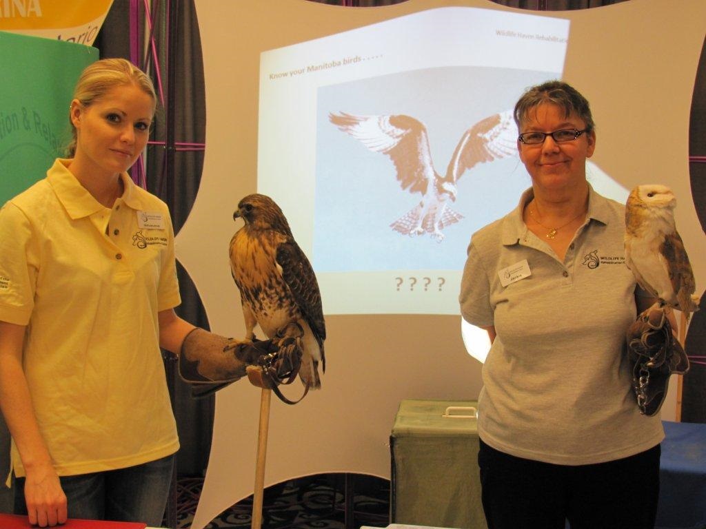 wildlife rescue volunteers with a hawk