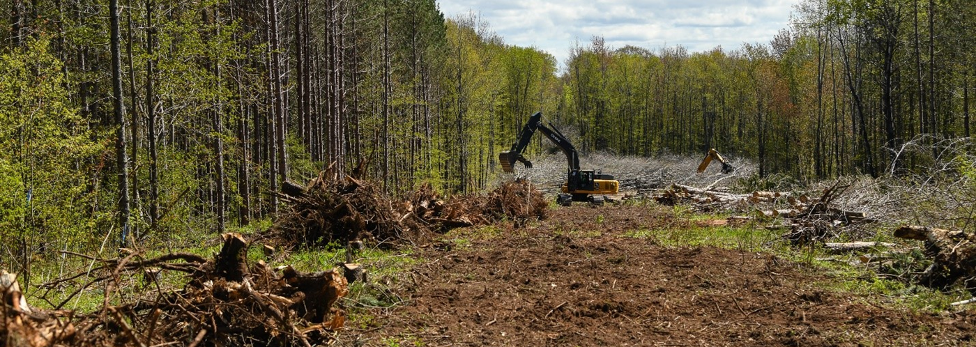 Heavy equipment clearing a right of way