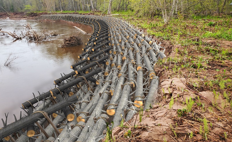 Riverbank covered with logs