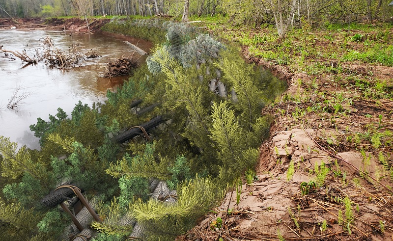 Riverbank covered with logs and green branches