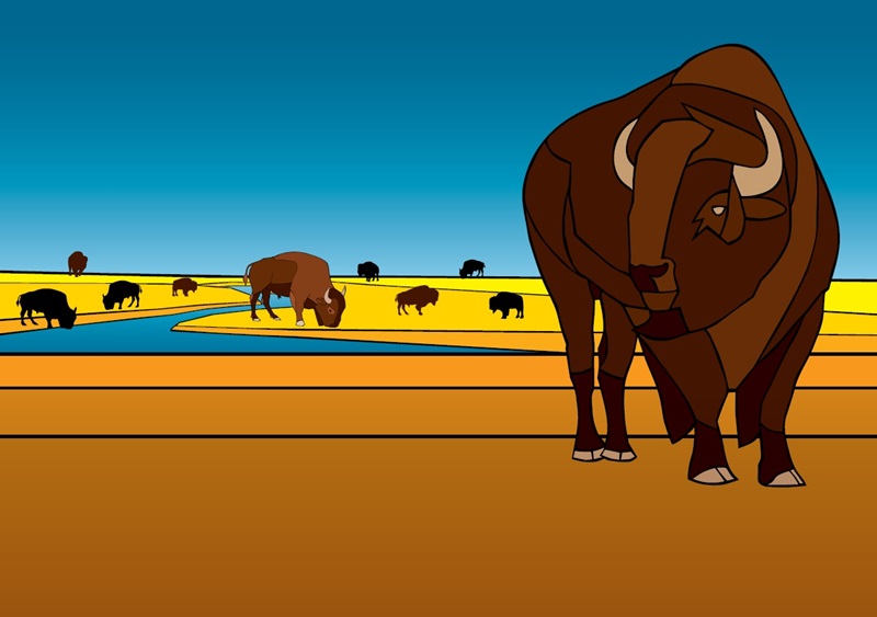 Illustration of bison