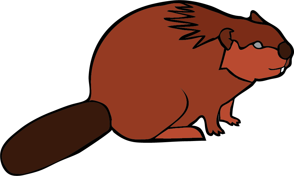 Illustration of a beaver