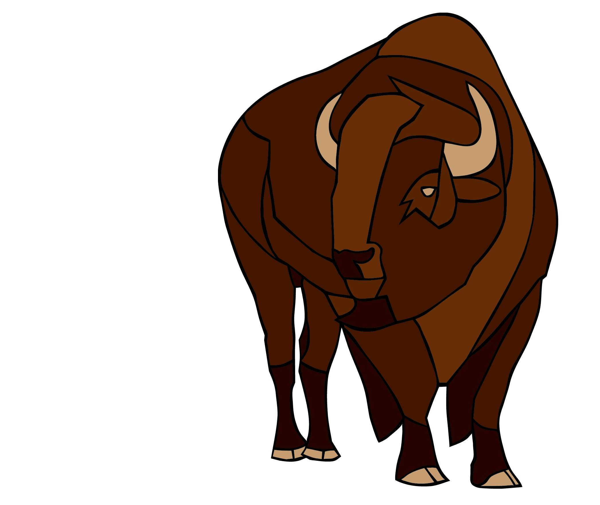 Bison