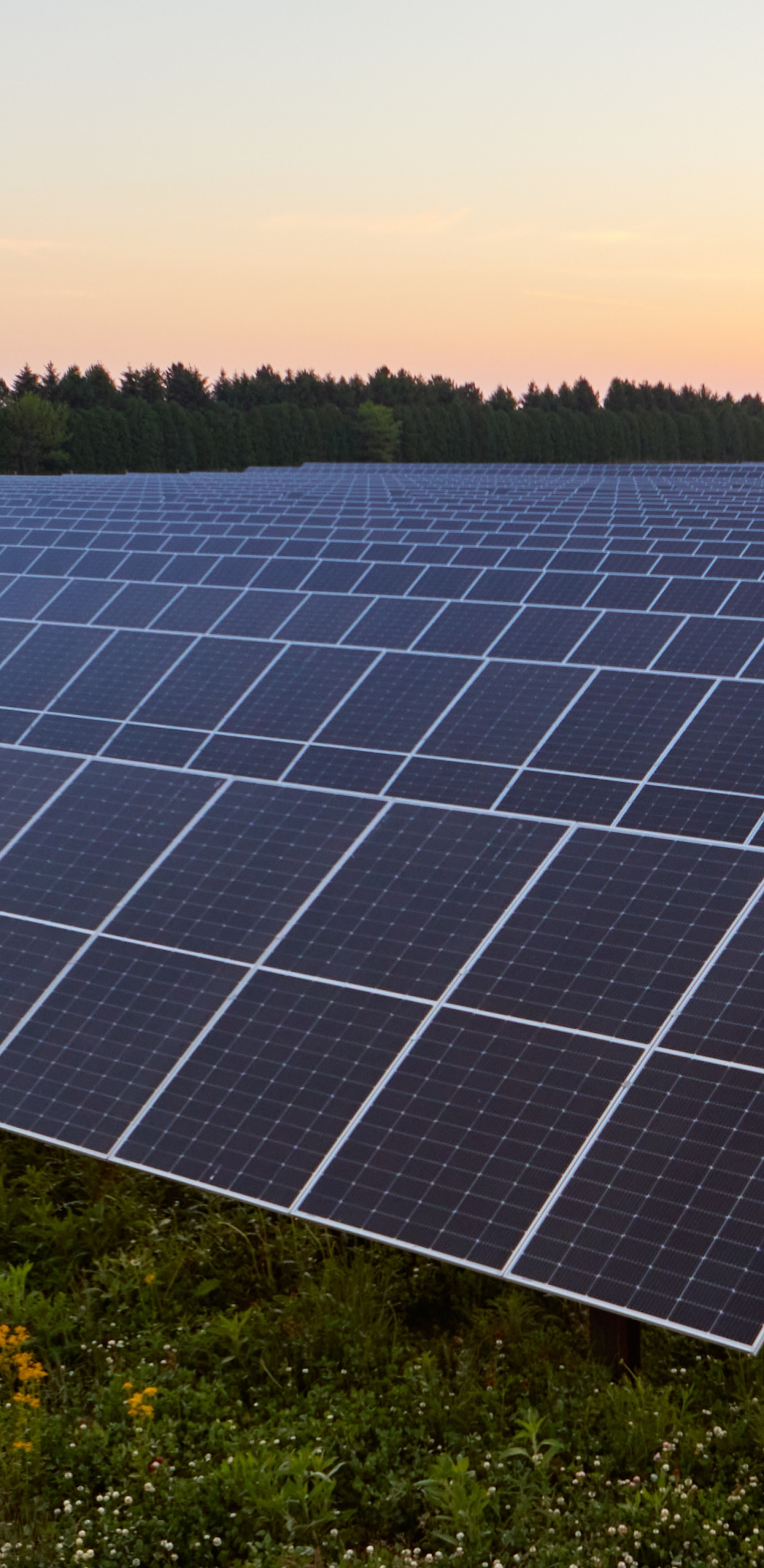 Solar panels at dusk