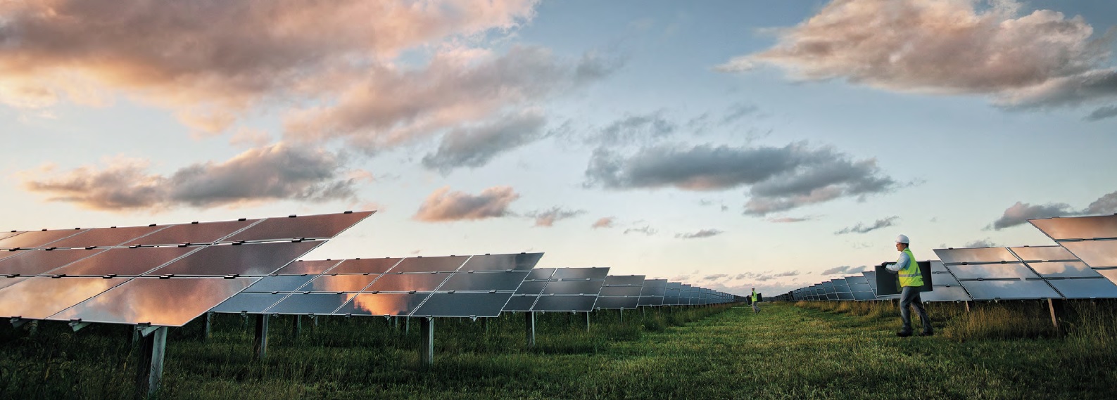 Field of solar panels at sunset