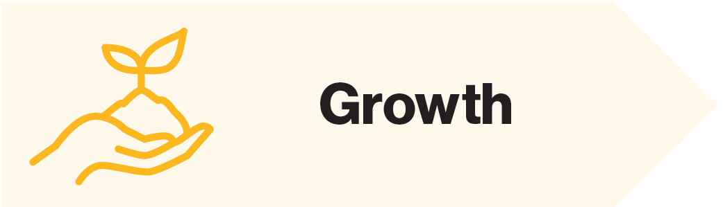 Infographic with the word growth