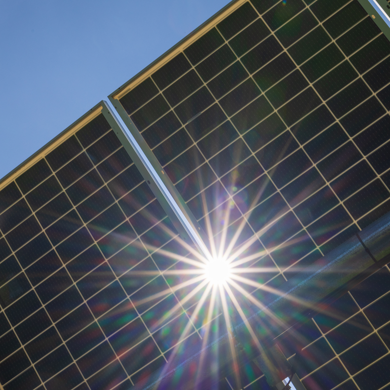 Solar panels with sun peeking through