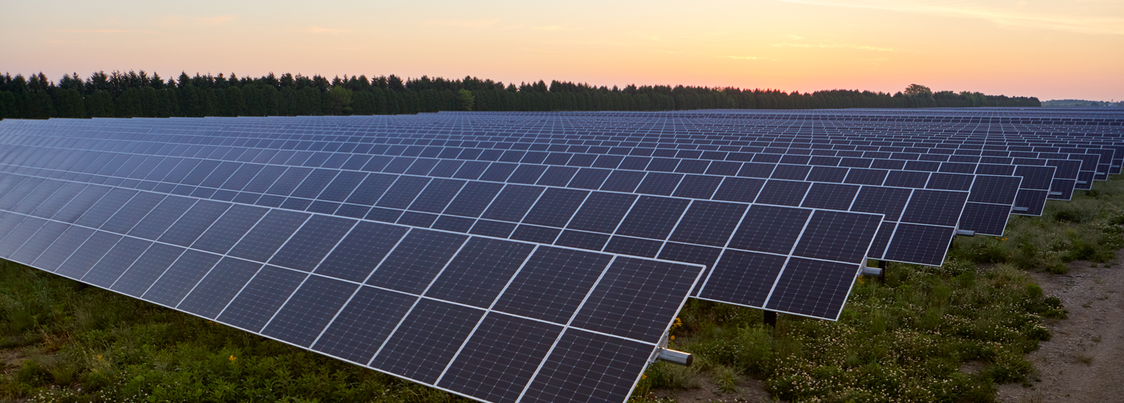 Solar panels at dusk