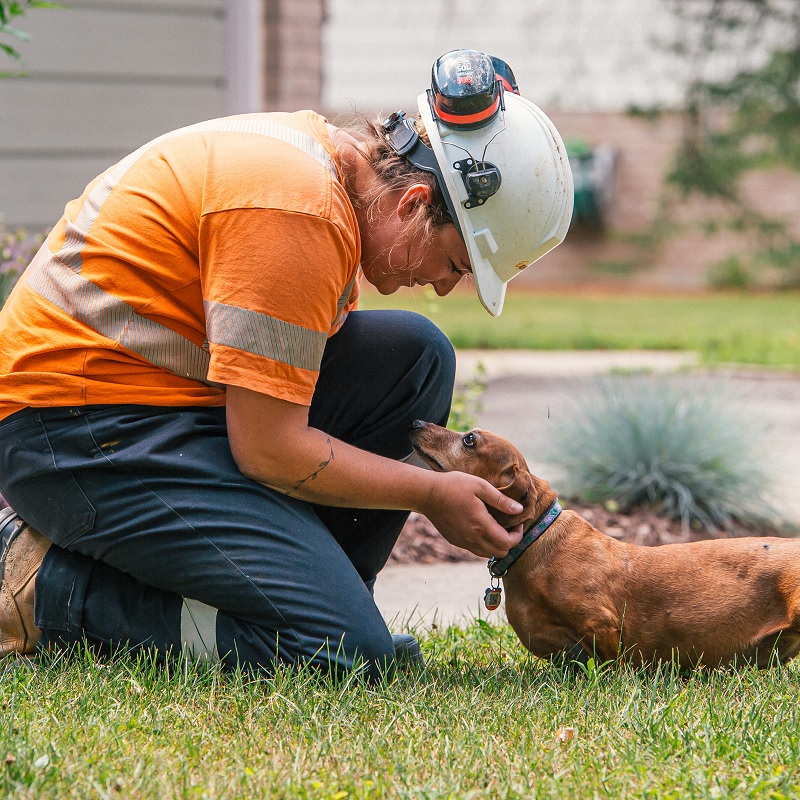 Worker in safety gear petting dog