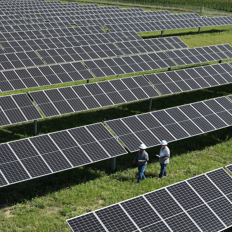 Workers walking through rows of solar panels