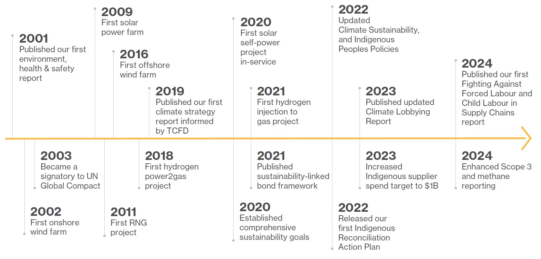 Timeline infographic