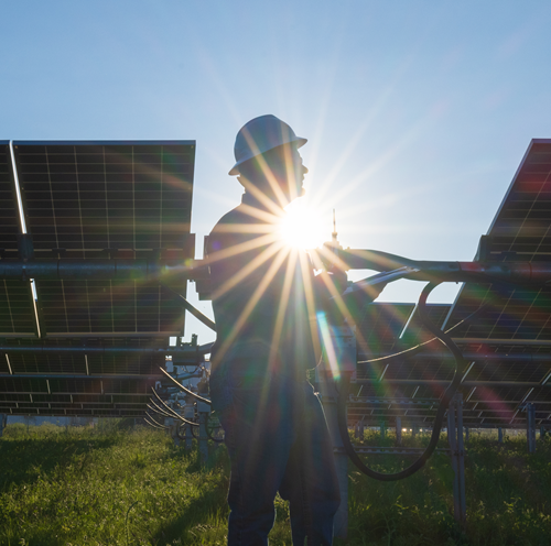 Worker in front of solar panels silhouetted by sun