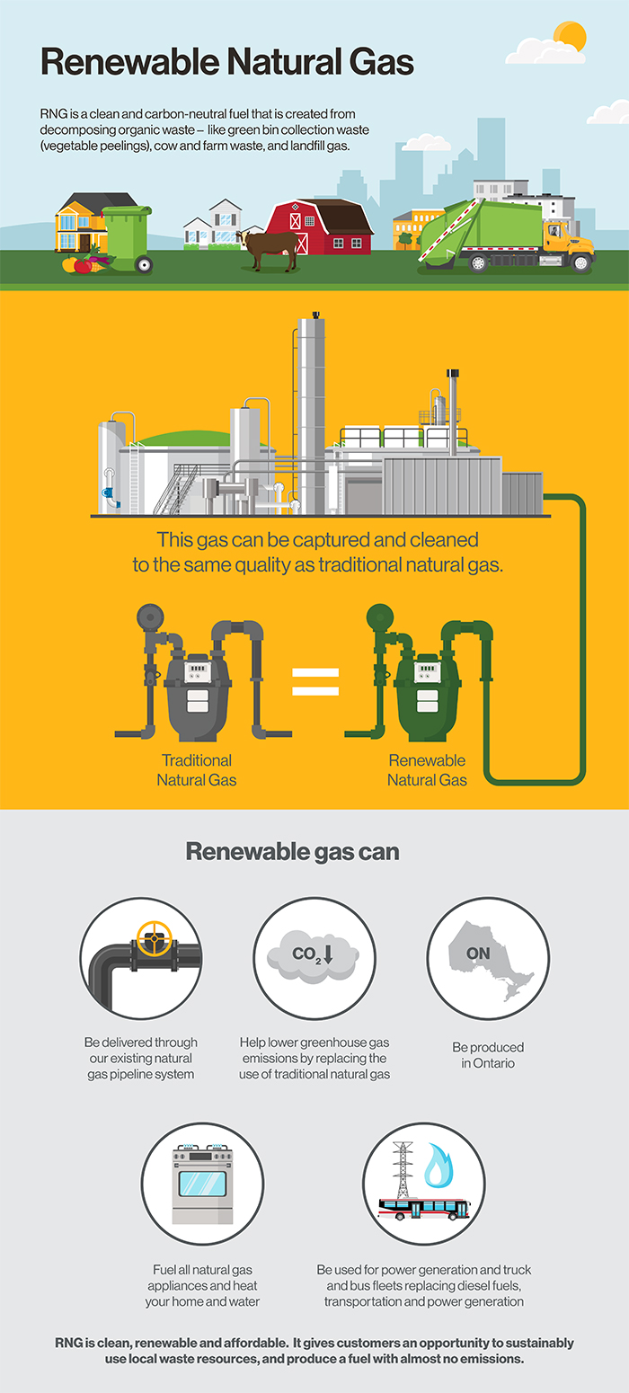 Renewable Natural Gas