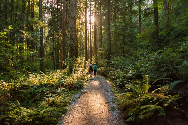 People walking in a forest